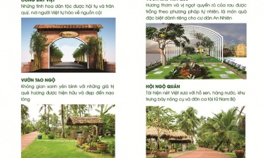Đừng mua dự án An Nhiên Garden khi chưa nắm thông tin này. Toàn bộ thông tin An Nhiên Garden Tân An